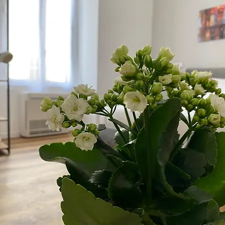 Belltower Elegans 4* Ρώμη