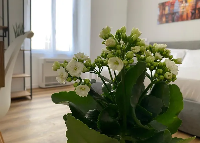 Belltower Elegans 4* 로마