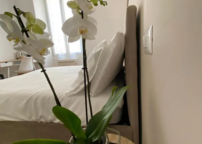 Belltower Elegans 4*