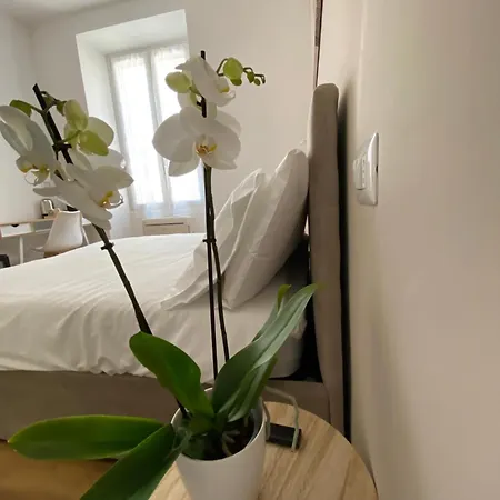 Belltower Elegans 4*